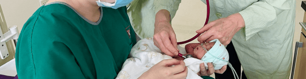 Chương trình đào tạo liên tục