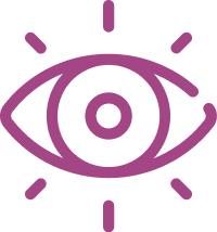 Vision