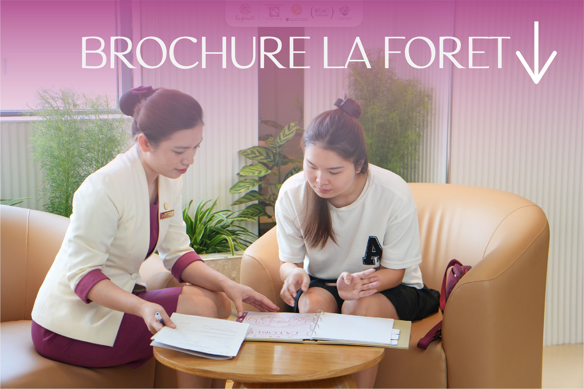 Brochure La Foret ↓