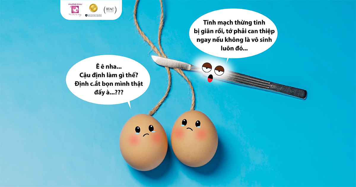 Giãn tĩnh mạch thừng tinh có thể gây vô sinh nam giới