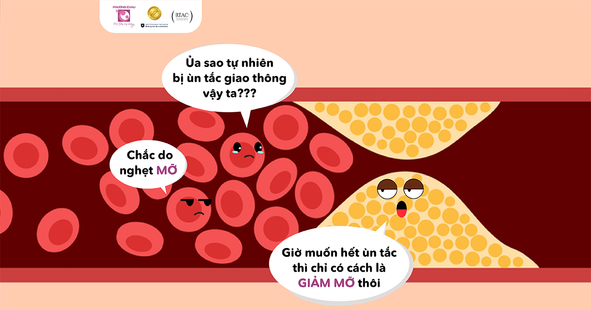 Mỡ máu cao: Hiểu đúng để phòng ngừa và điều trị kịp thời