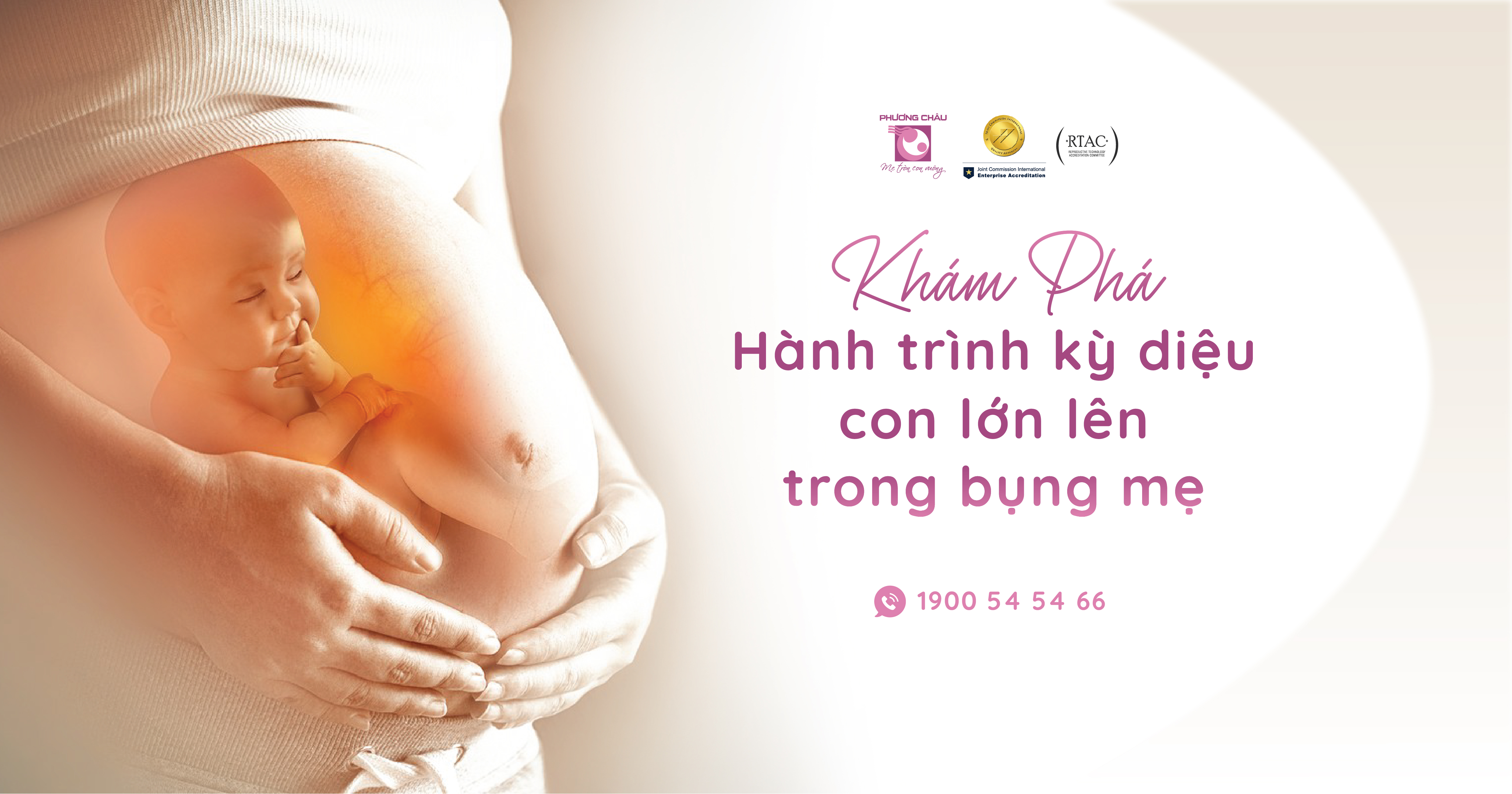 Khám phá hành trình con lớn lên từng ngày trong bụng mẹ