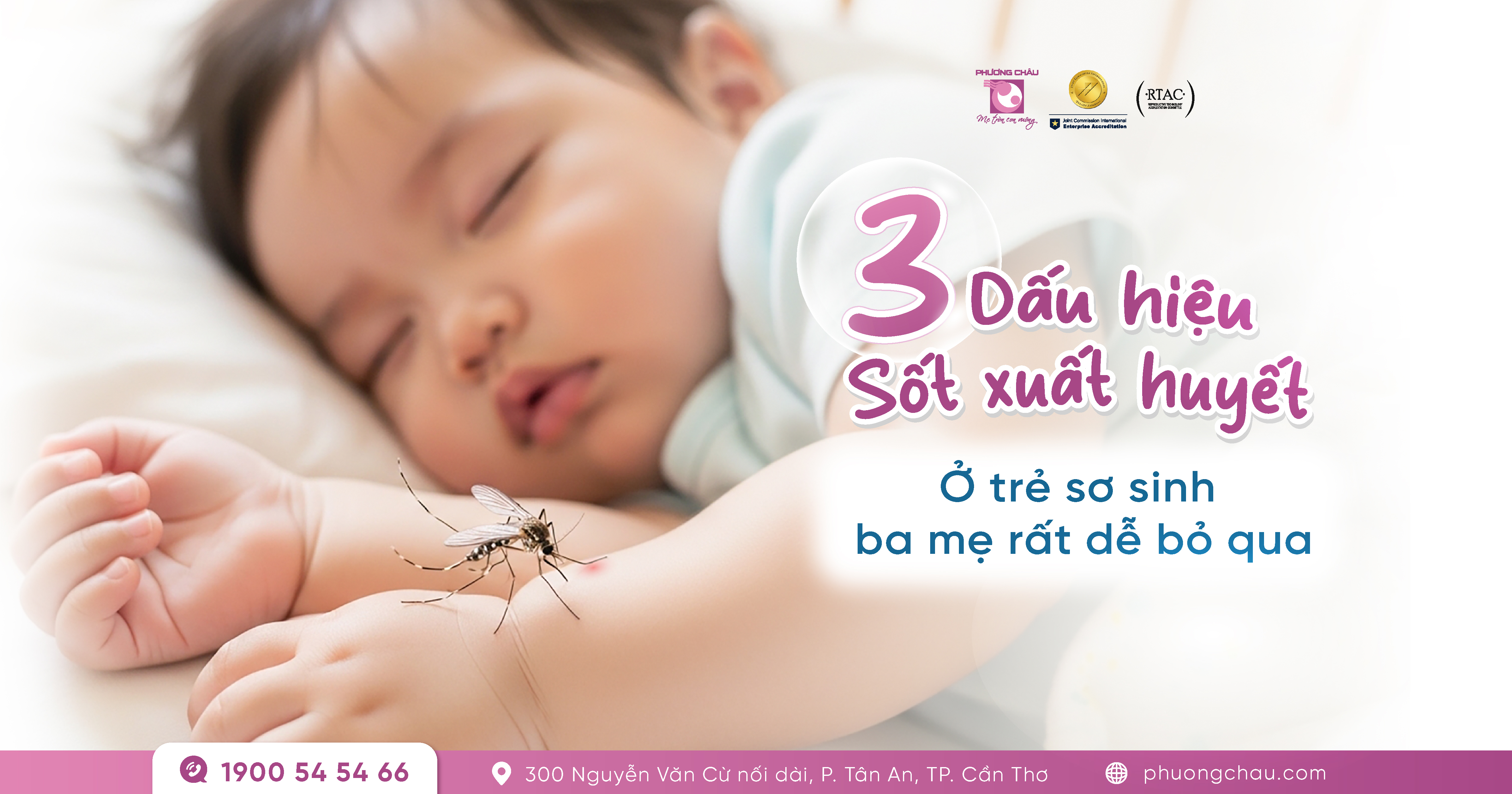 Sốt xuất huyết ở trẻ sơ sinh: Nguyên nhân và cách phòng ngừa