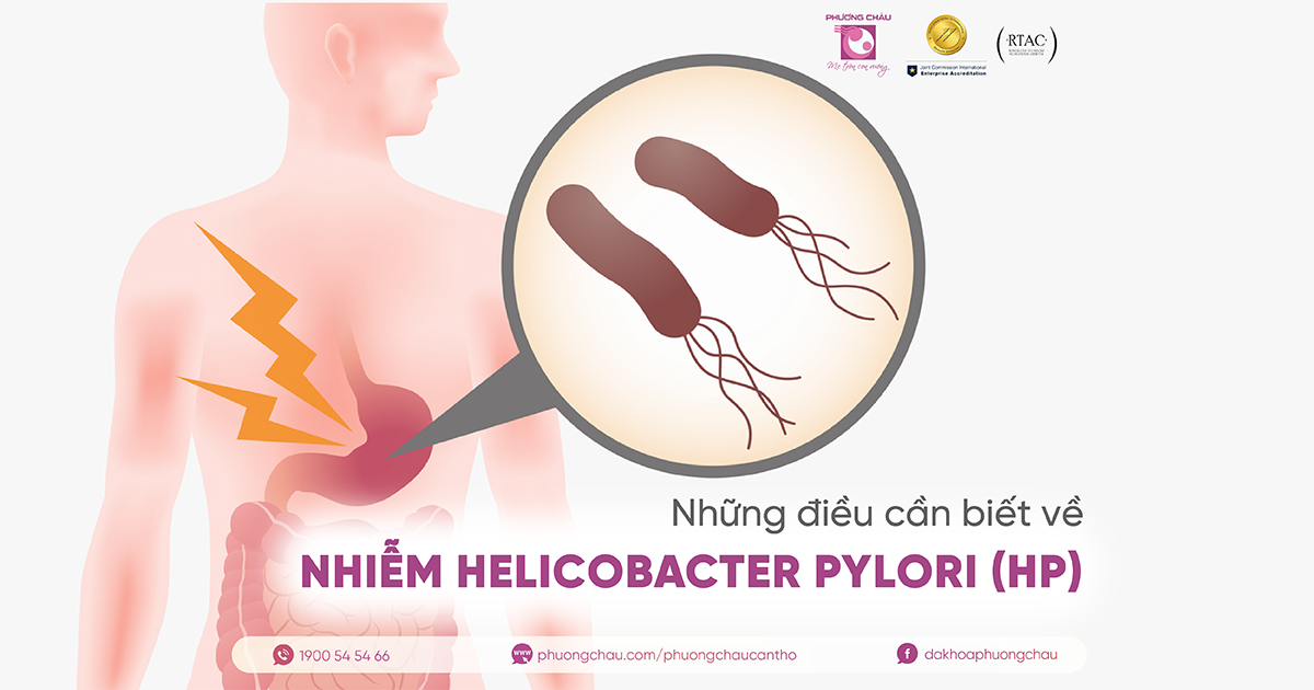Nhiễm HP (Helicobacter pylori) là tình trạng vi khuẩn HP cư trú trong niêm mạc dạ dày