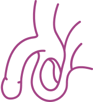 Ngoại niệu - Nam khoa