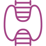 Nội tiết tim mạch