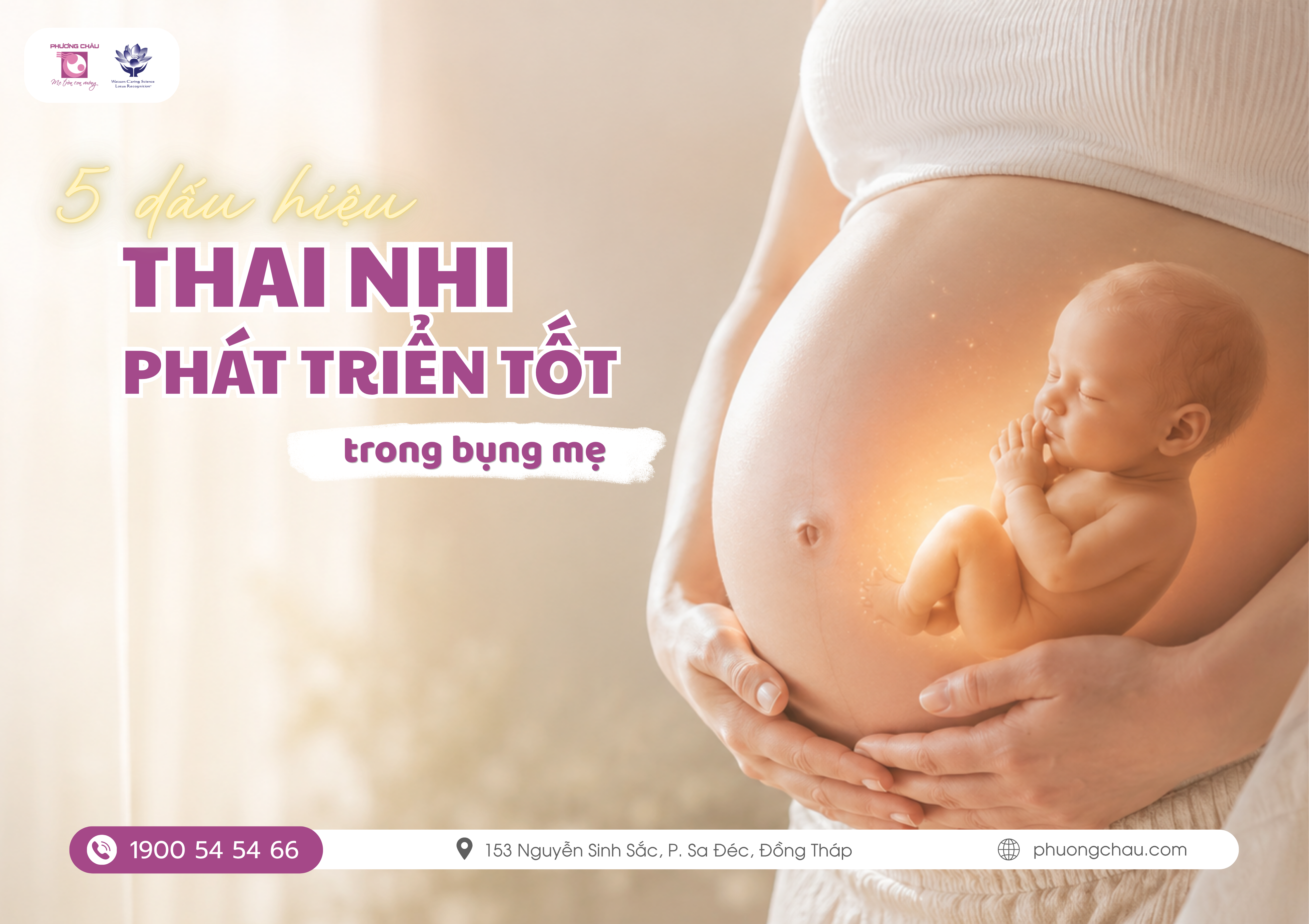 5 DẤU HIỆU THAI NHI ĐANG PHÁT TRIỂN BÌNH THƯỜNG TRONG BỤNG MẸ