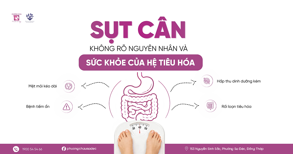 Sụt Cân Không Rõ Nguyên Nhân Và Nguy Cơ Sức Khỏe Tiêu Hóa