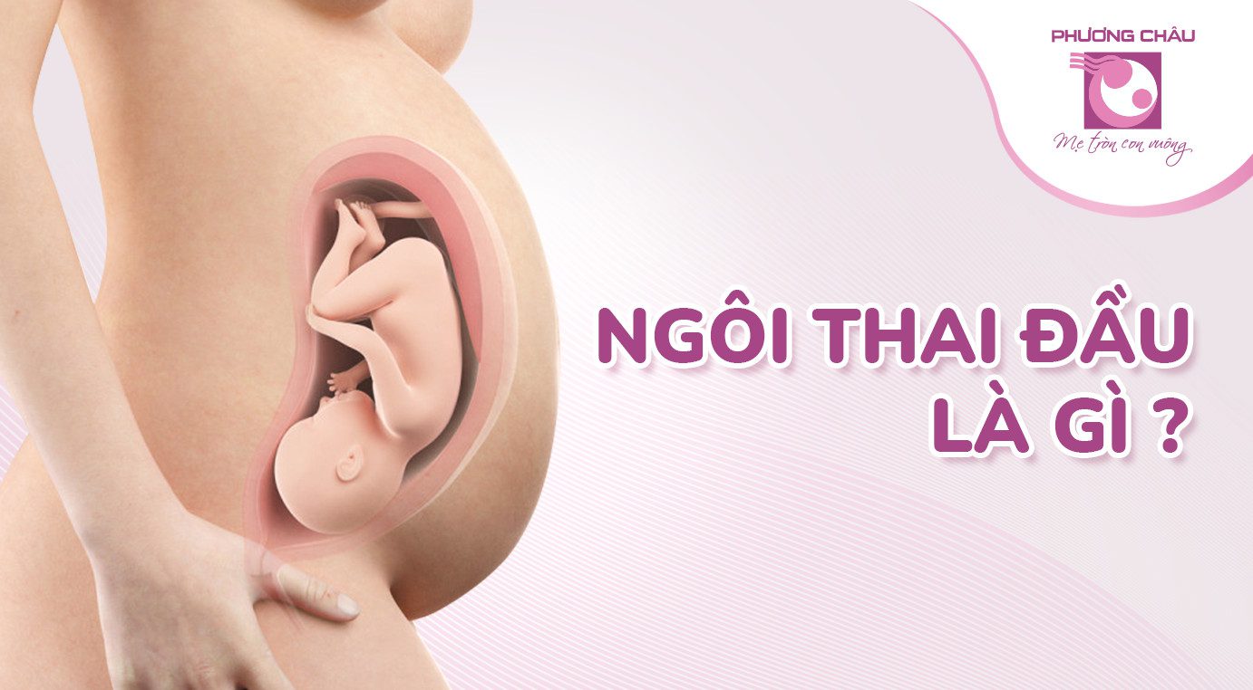 Ngôi Thai Đầu (Ngôi Thuận) Và Những Điều Mẹ Bầu Cần Biết